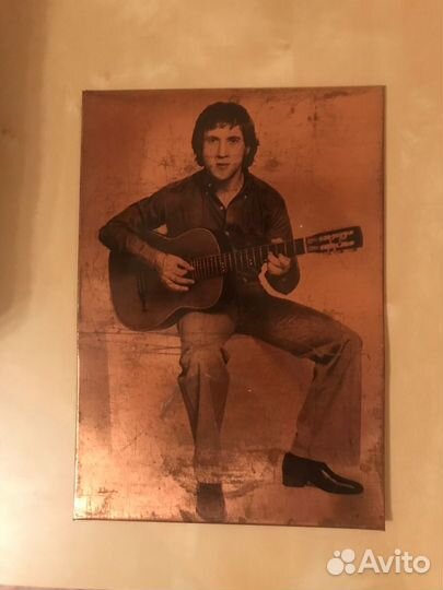 Портрет высоцкого