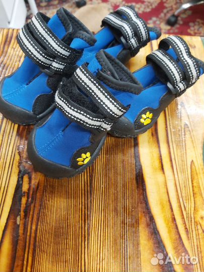 Обувь для собак средних