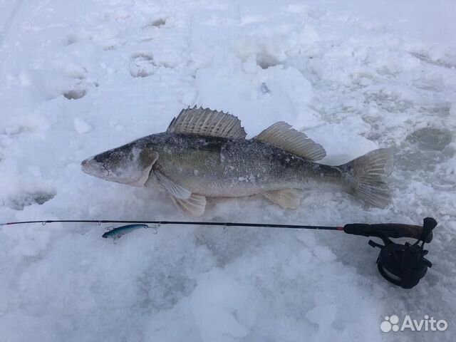 Зимняя рыбалка с гидом на Каме Алексеевский р-н объявление продам