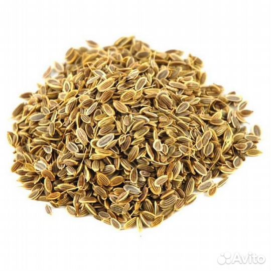Семена укропа