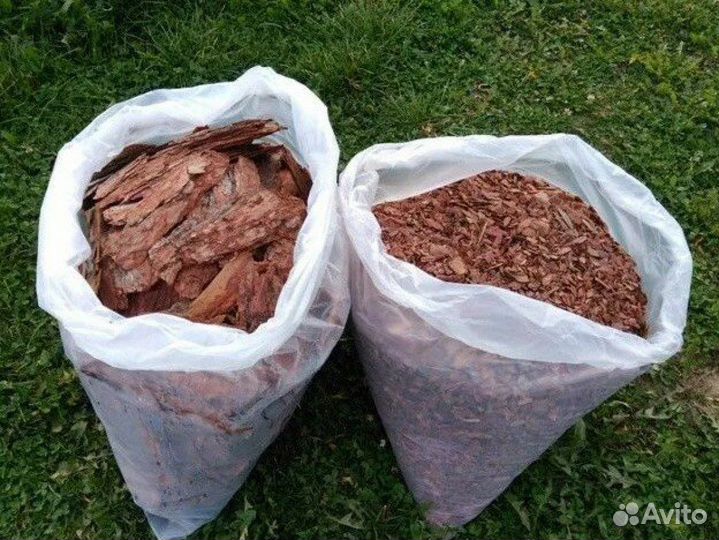 Сборщик сосновой коры