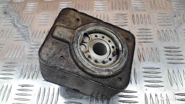 Радиатор масляный Volkswagen Touareg