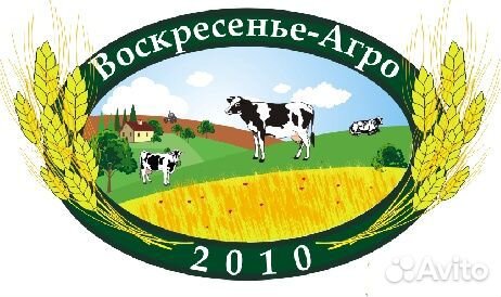 Водитель телескопического погрузчика