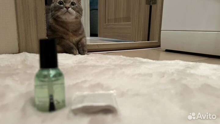 Новая Маска от черных точек Lanbena