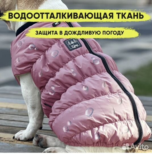 Жилетка для собак