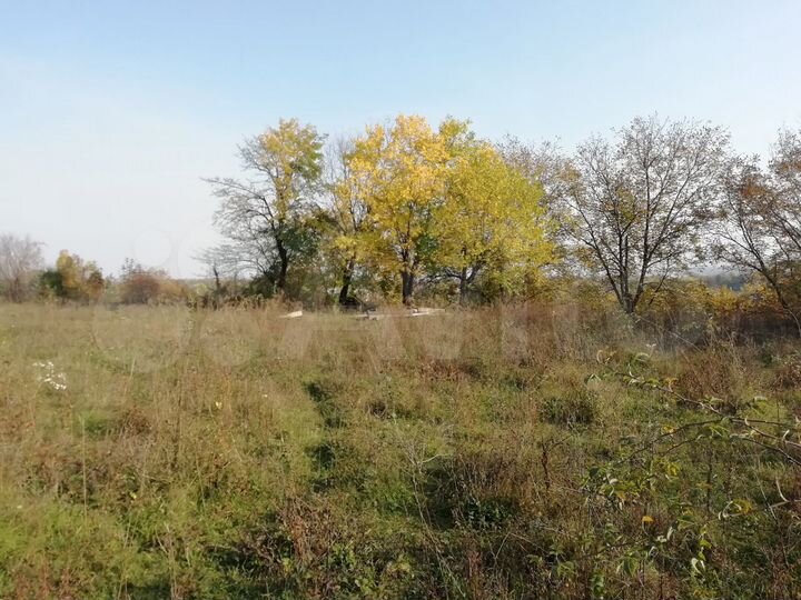 Участок 50 сот. (ИЖС)