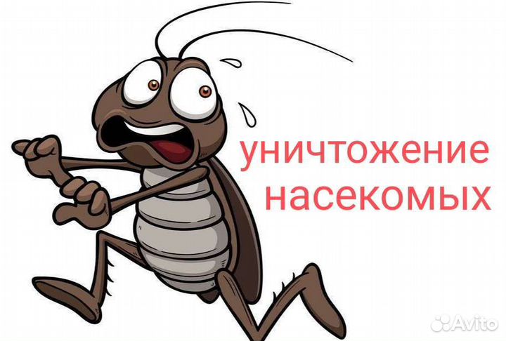 Уничтожение насекомых. Дезинфекция и дезинсекция