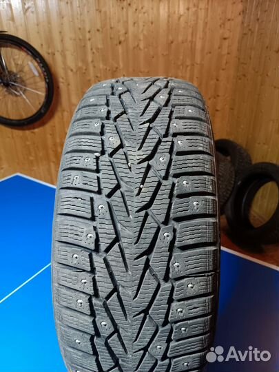 Nokian Tyres Nordman 7 205/50 R17 93T