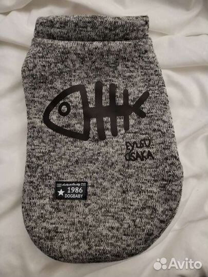 Одежда для сфинкса