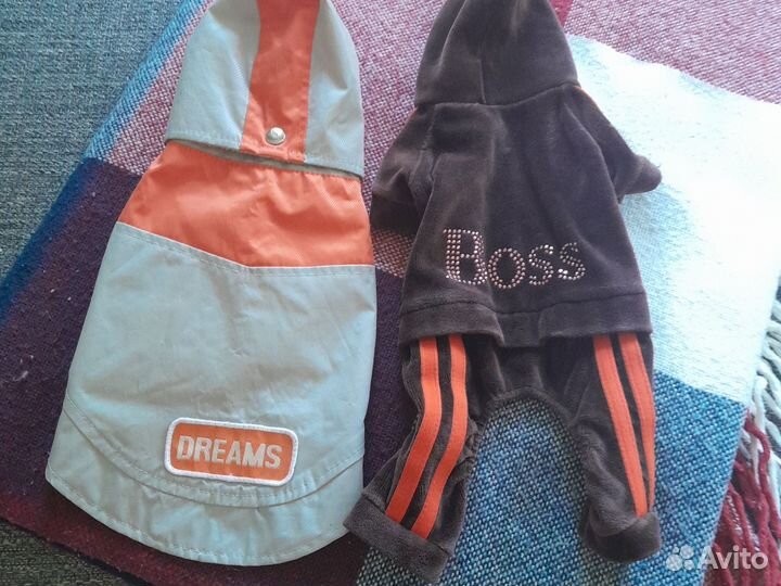 Одежда для маленьких пород собак