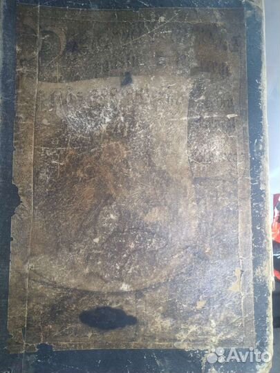 Раритетная книга о животных