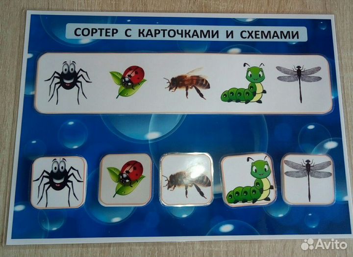 Игра Сортер электронный и готовый вид