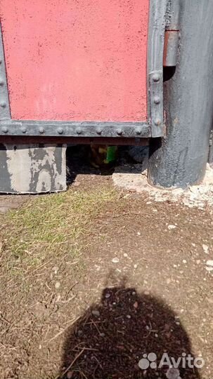 Корова 2 Отёл