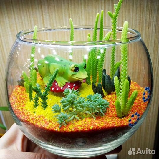 Флорариум роскошный с футбольный мяч