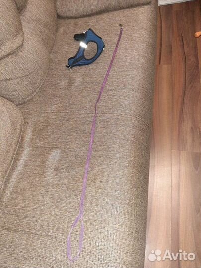 Поводок и шлейка для собаки