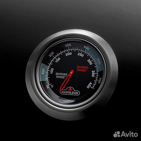 Газовый гриль Napoleon, Legend 425