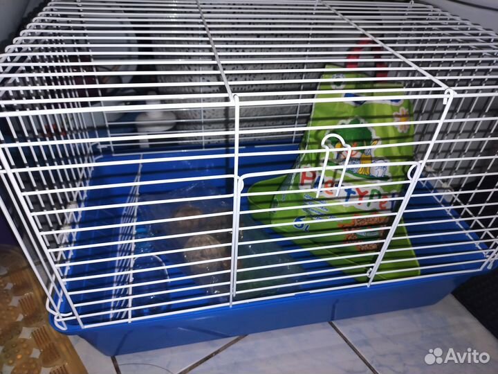 Клетка для кролика 40/60 +комплект