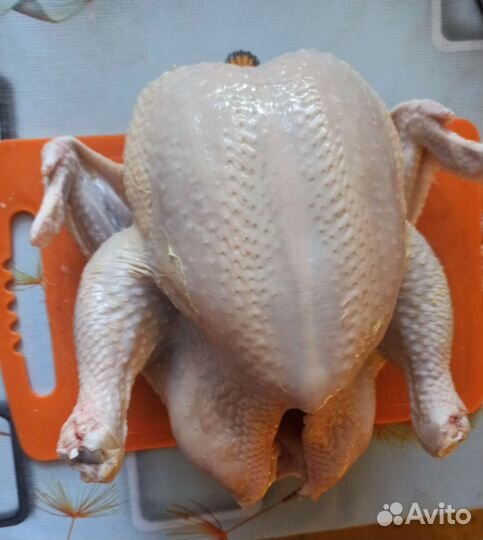 Козье молоко, творог, яйцо куриное, бройлер