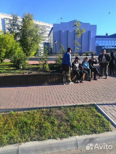 Сборщик урожая картофеля