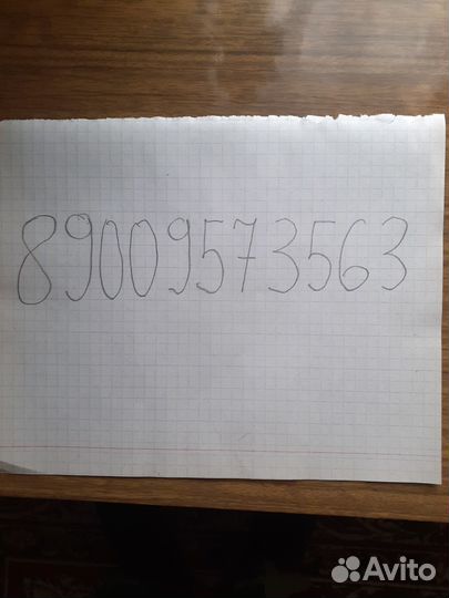 Кролики породы французский баран