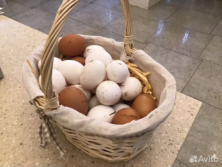 Яйца домашние