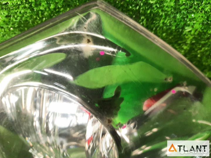 Фонарь задний правый toyota harrier