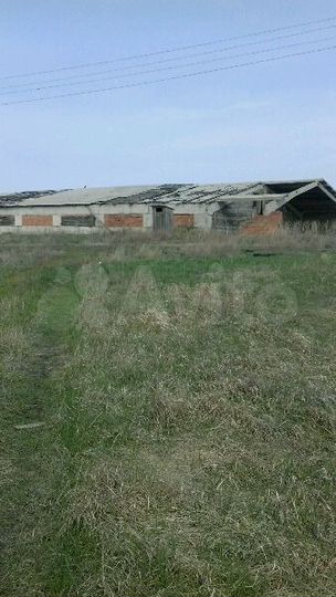 Склад жби клюшки стаканы