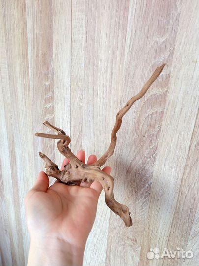 Ветки для декора