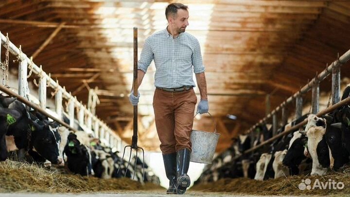 Разнорабочий Вахта от 15 смен в Казани