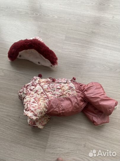 Зимний комбенизон для чихуахуа