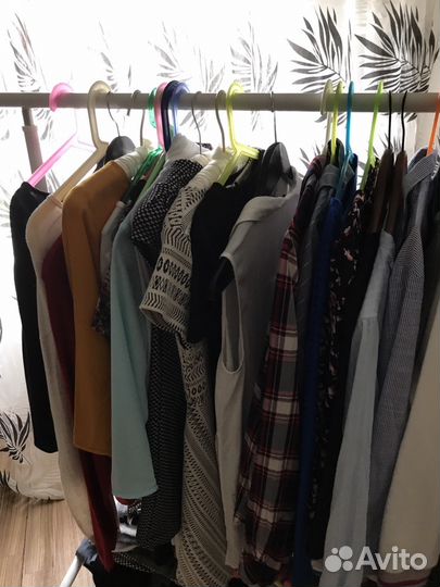 Одежда Zara, Bershka