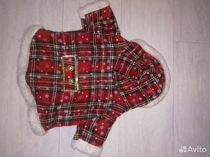 Одежда для маленьких собак