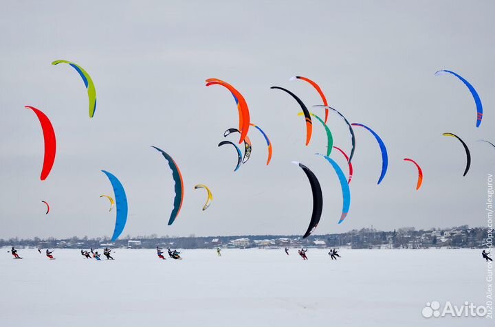 Кайт Параавис