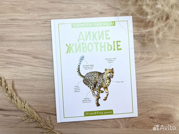 Книга энциклопедия Дикие животные