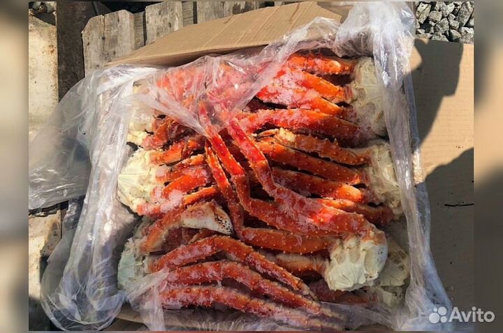 Клешни камчатского краба