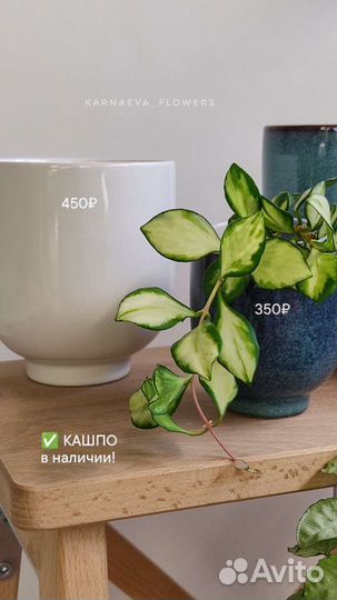 Кашпо для цветов (новые)