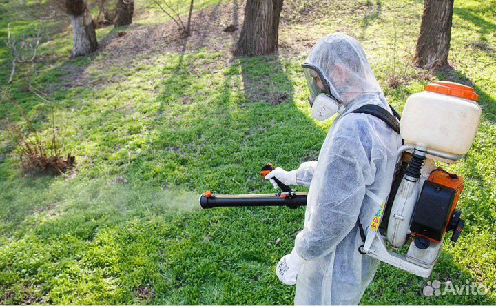 Уничтожение клопов,травля тараканов, клещей,ос