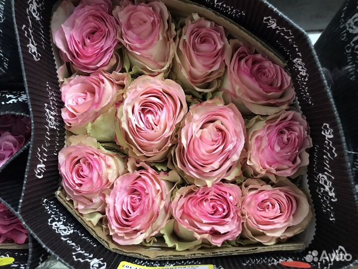 Цветы оптом розы Эквадор премиум