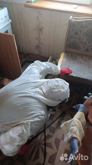 Дезинфекция