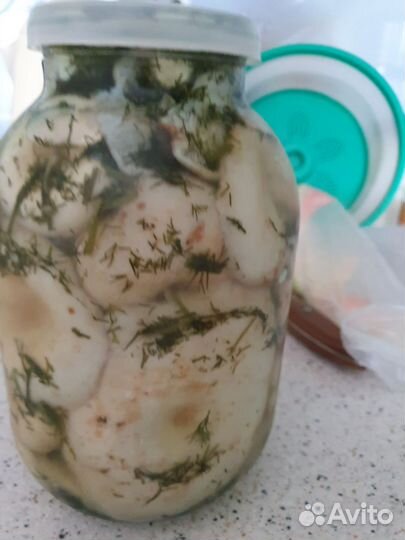 Грибы маринованные маслята,опята,грузди,арбузы