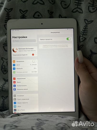 iPad mini 2