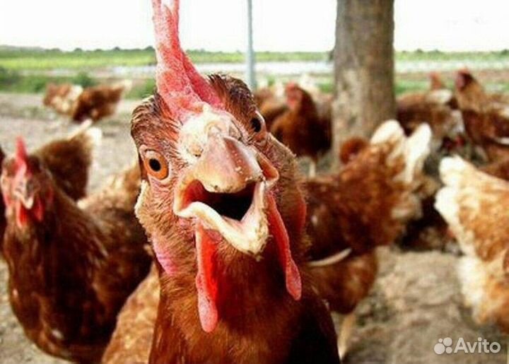 Рабочий на производство