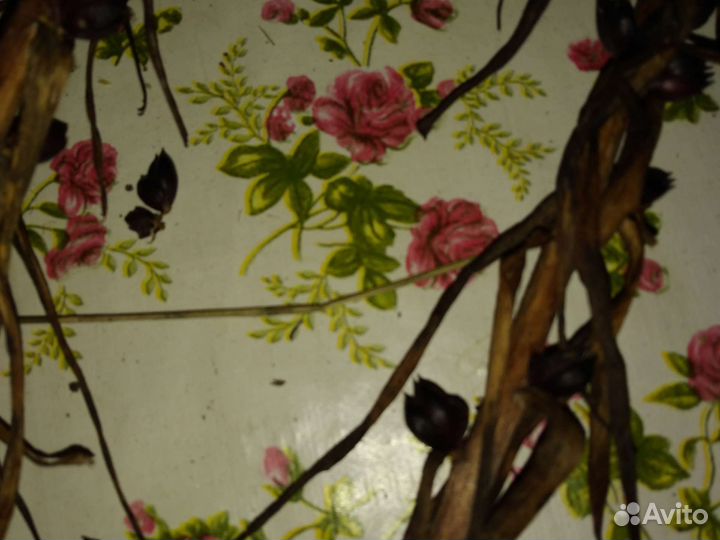 Семена лилий