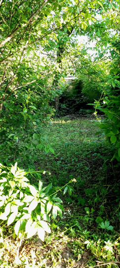 Участок 22,5 сот. (ИЖС)