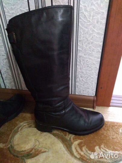 Сапоги женские