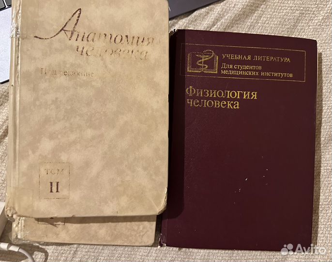 Анатомия человека