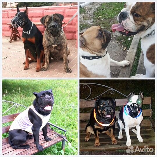 Дрессировка. Передержка крупных и агрессивных