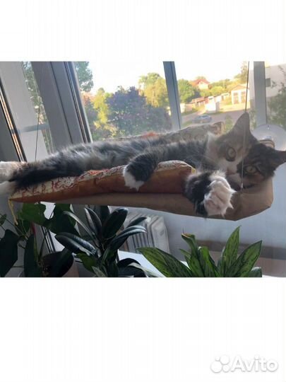 Гамак для кошек на окно