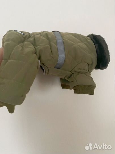 Комбинезон для собак мелких пород