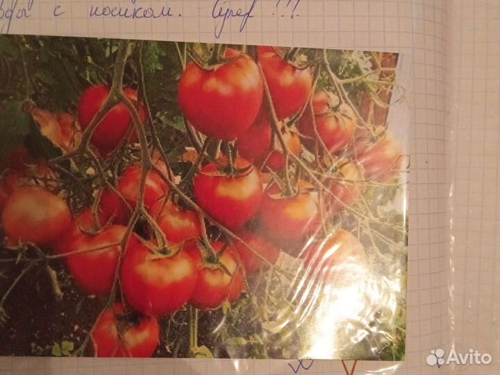 Семена томатов, перцев